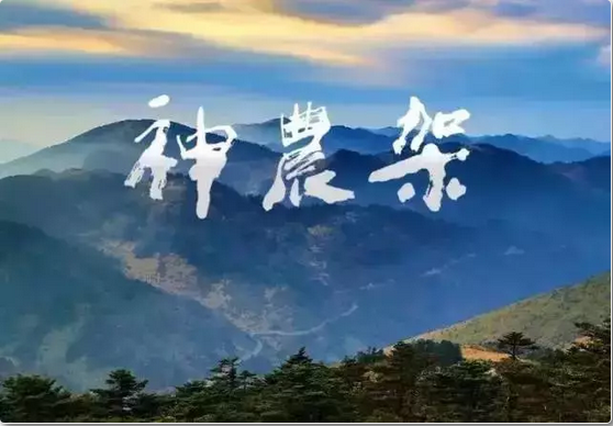 QQͼƬ20170823095708.png