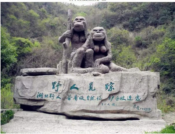 QQͼƬ20170823102118.png